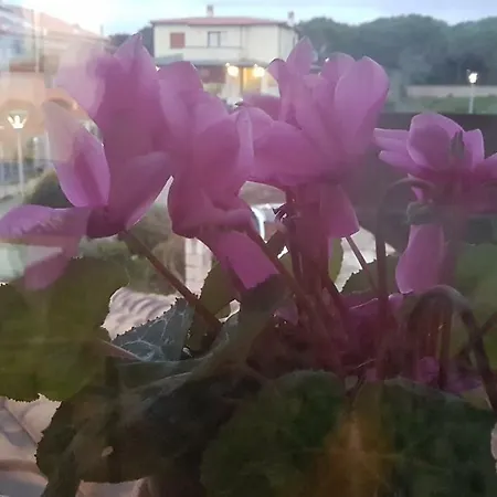 Il Veliero Affittacamere *